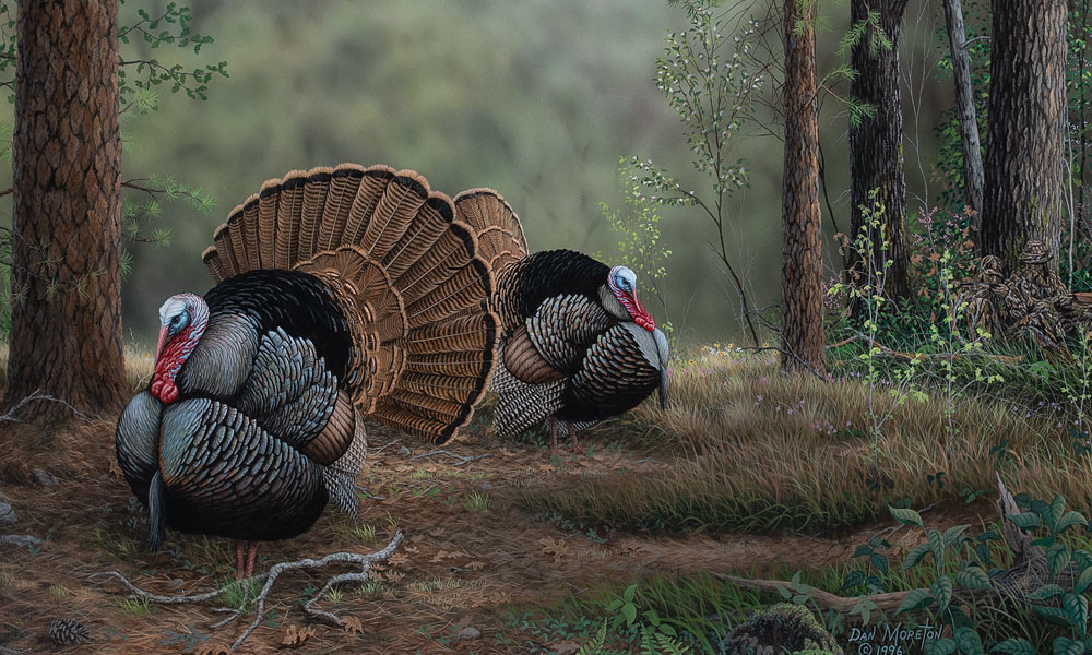 The Painting Behind Mossy Oak's Inaugural Turkey Stamp Mossy Oak